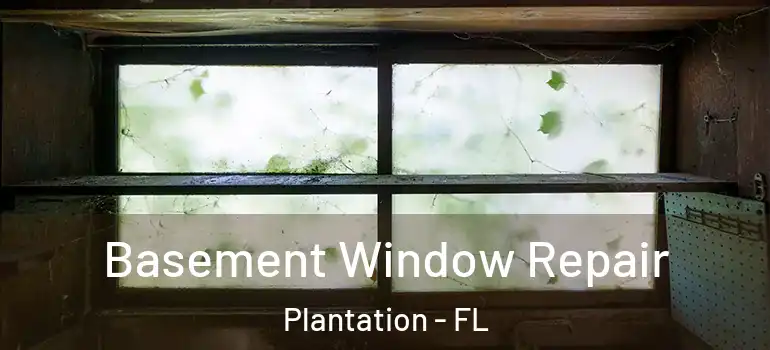  Basement Window Repair Plantation - FL
