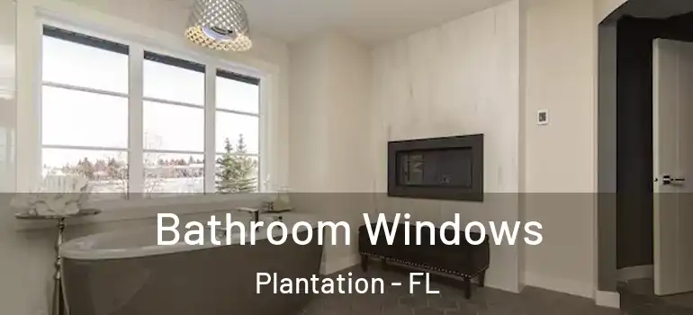 Bathroom Windows Plantation - FL