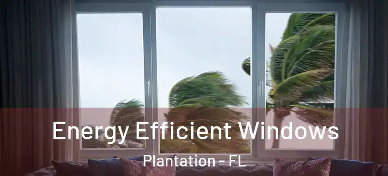  Energy Efficient Windows Plantation - FL