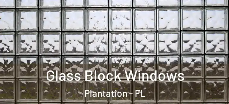  Glass Block Windows Plantation - FL