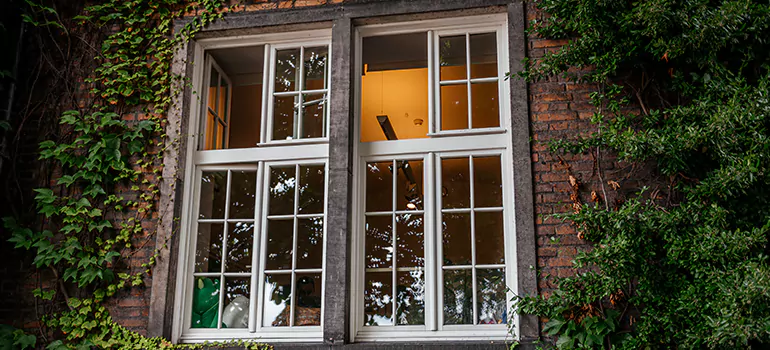 Energy Efficient Wood Windows in Plantation, FL