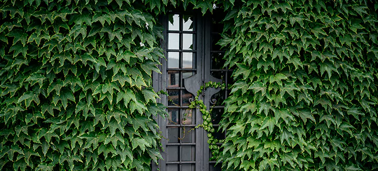 Garden Gate Repair in Plantation, FL