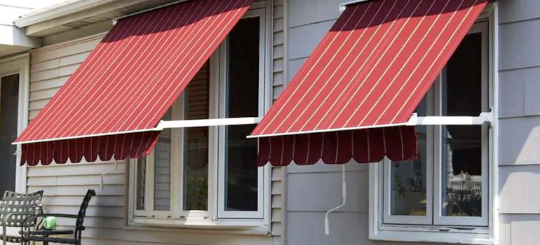 Government Rebate Window Replacement in Plantation, FL