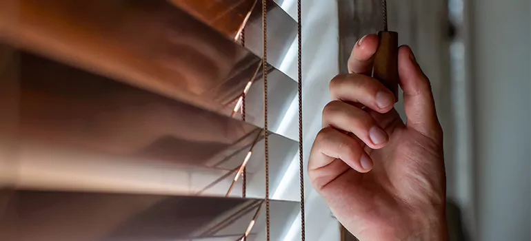 Double Roller Blinds in Plantation, FL