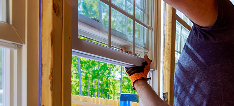 Decorative Window Film Services in Plantation, FL