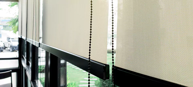 Blackout Window Shades in Plantation, FL