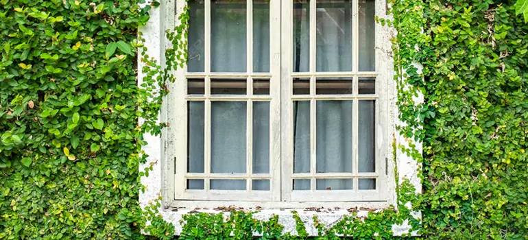 Garden Window Repair Near Me in Plantation, FL
