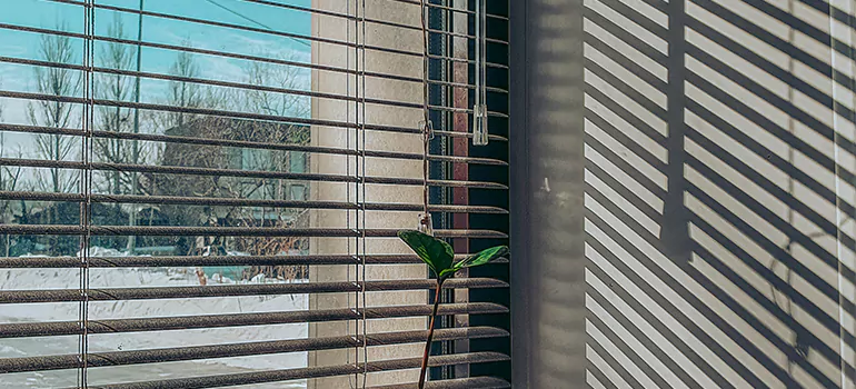 Commercial Window Blinds in Plantation, FL