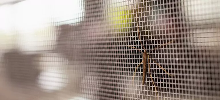 Repair Mosquito Mesh For Windows in Plantation, FL