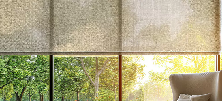 Custom Window Shades in Plantation, FL