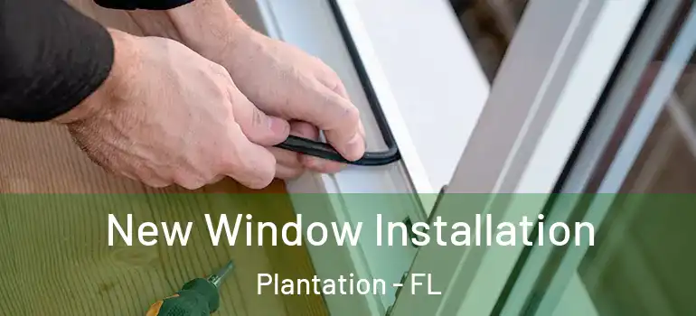 New Window Installation Plantation - FL