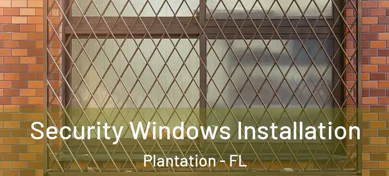  Security Windows Installation Plantation - FL