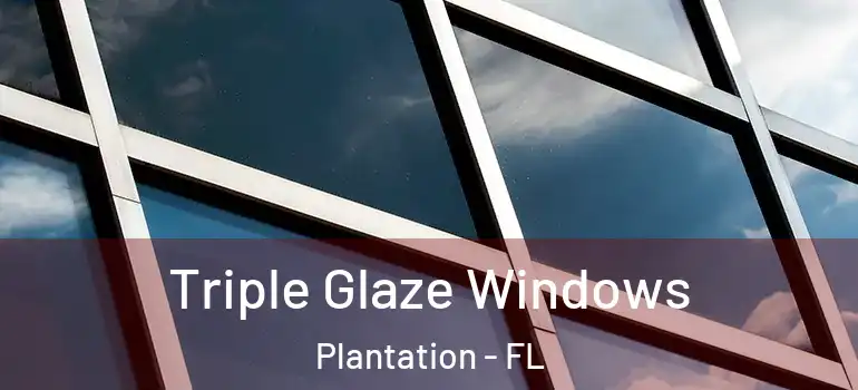  Triple Glaze Windows Plantation - FL