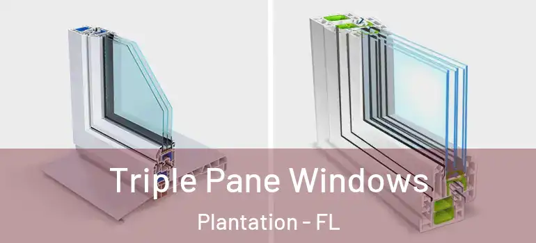  Triple Pane Windows Plantation - FL