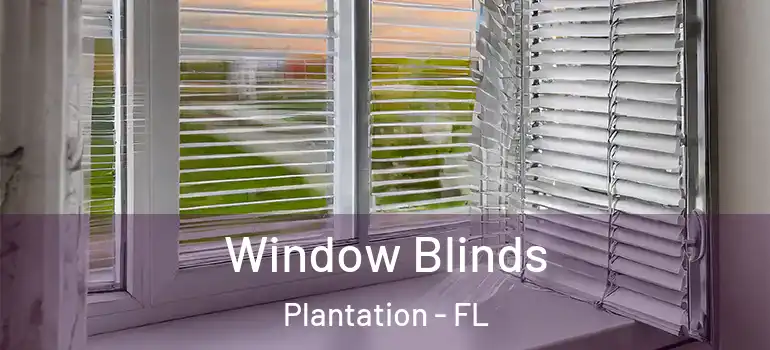  Window Blinds Plantation - FL