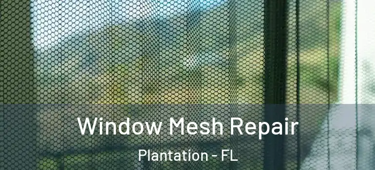  Window Mesh Repair Plantation - FL