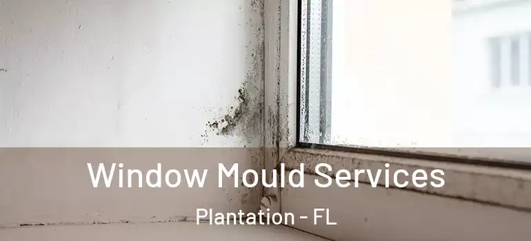  Window Mould Services Plantation - FL