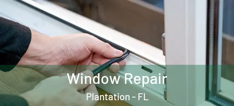  Window Repair Plantation - FL