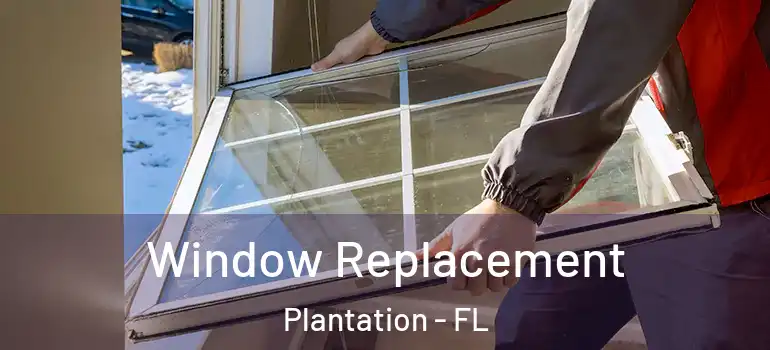  Window Replacement Plantation - FL