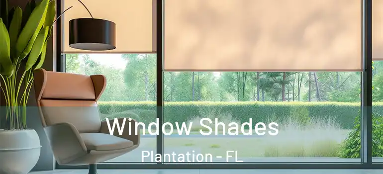  Window Shades Plantation - FL