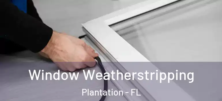  Window Weatherstripping Plantation - FL